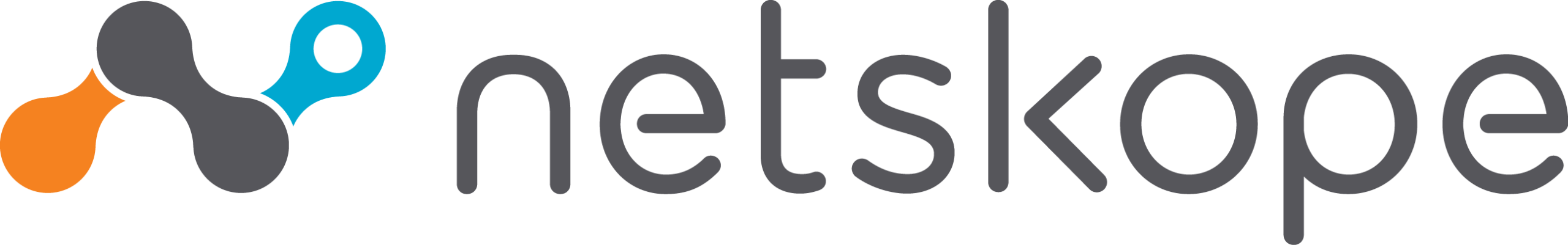 Netskope primary logo_full color